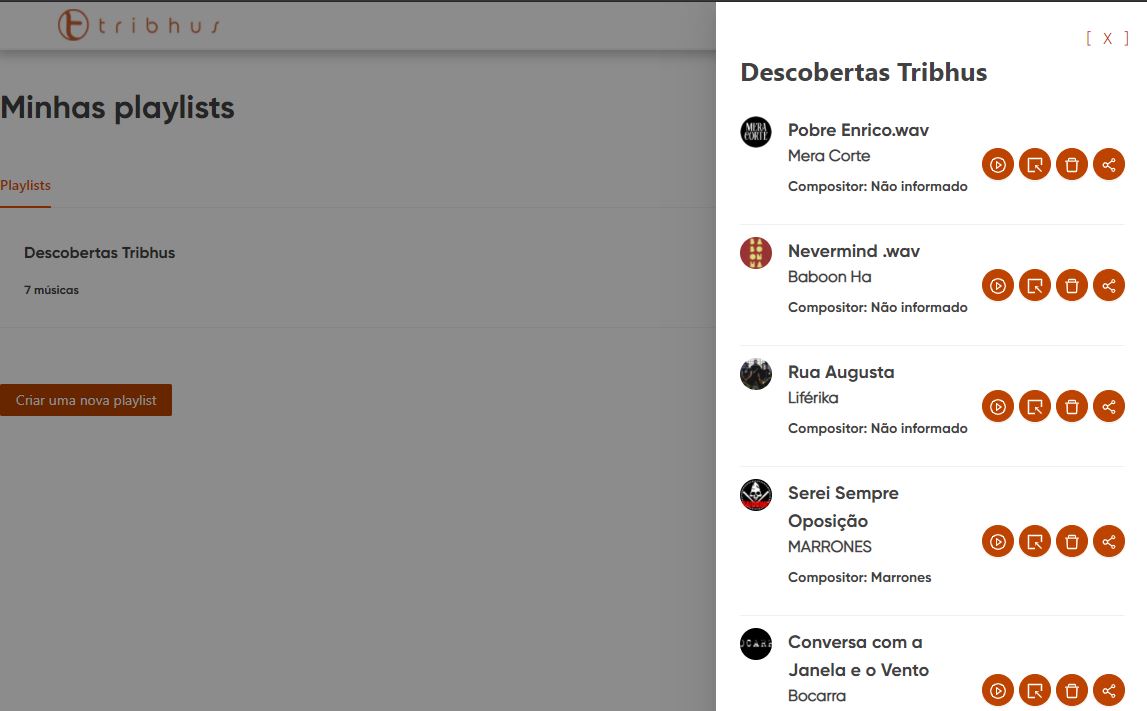 Spin de junho – Criação de playlists no app da Tribhus e mais novidades