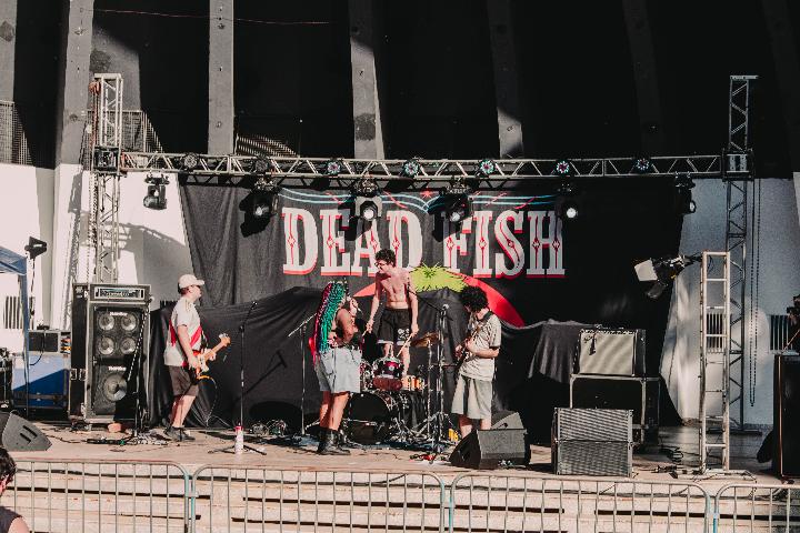 Viúva Fantasma: o "rock triste feito à mão" de Campinas a caminho do álbum de estreia